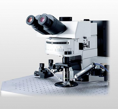 Olympus BX61Wi